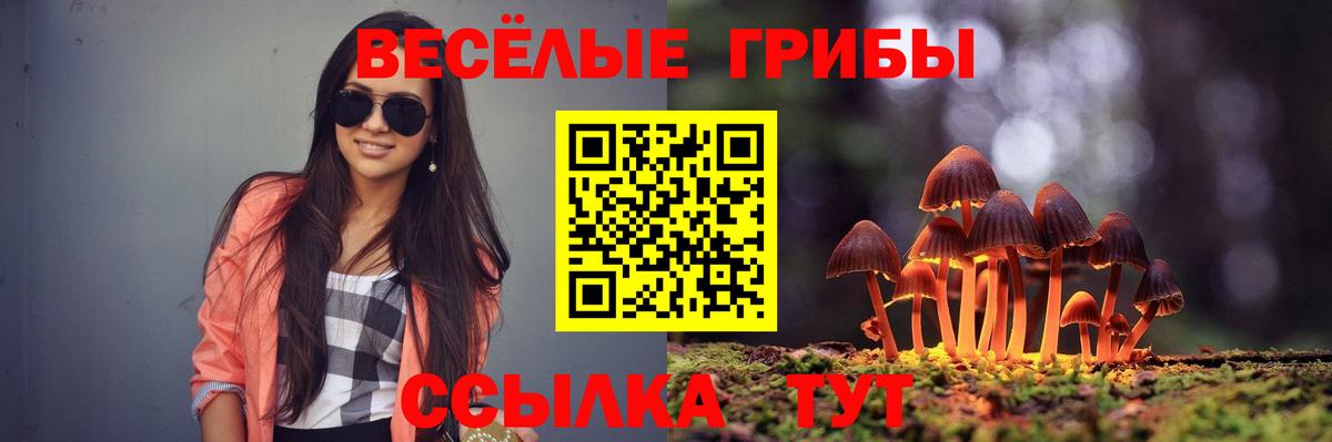 Галлюциногенные грибы MAGIC MUSHROOMS  Вход с VPN  дарнет шоп  Трёхгорный 