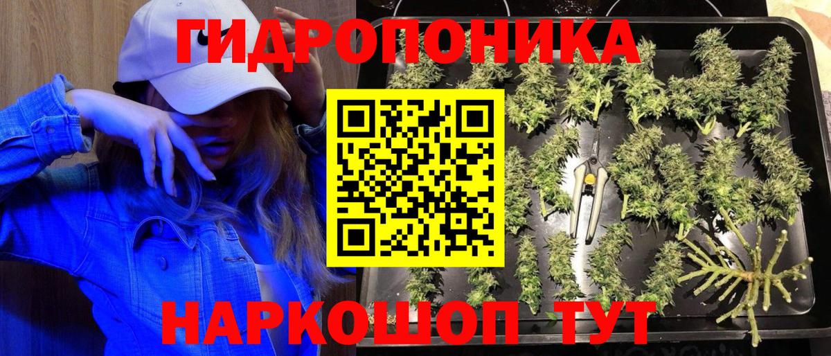 Бошки марихуана Amnesia  Бошки марихуана сатива  Вход с VPN  Канабис THC 21%  Бошки марихуана план  Трёхгорный 